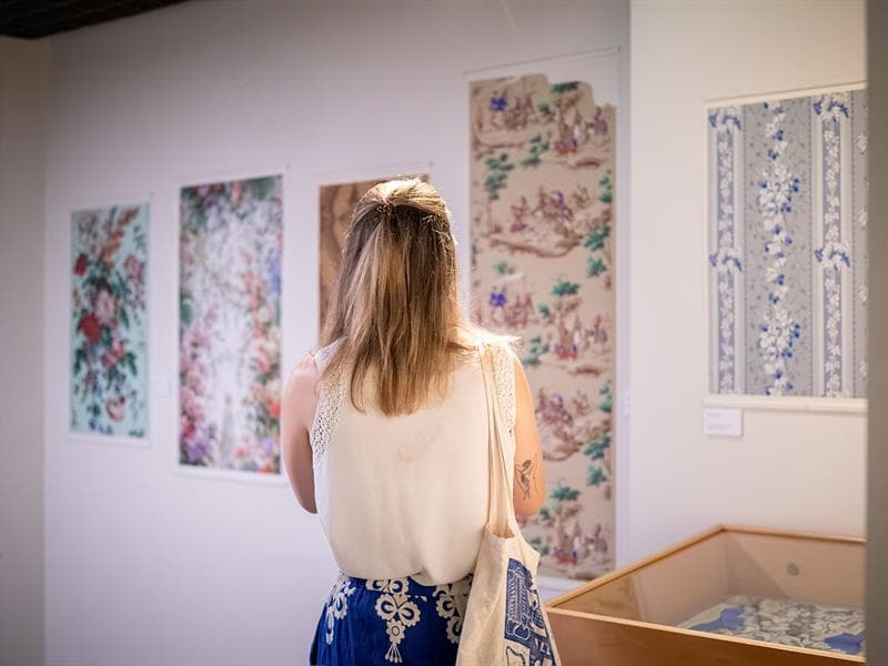 Exposition : Une collection, trois points de vue - Préserver, raconter, révéler