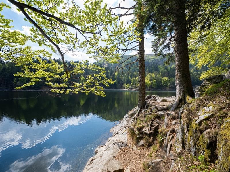 Lac de l'Altenweiher