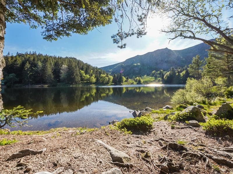 Lac du Forlet (Lac des Truites)