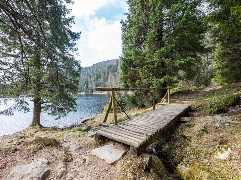 Pêche au Lac Vert