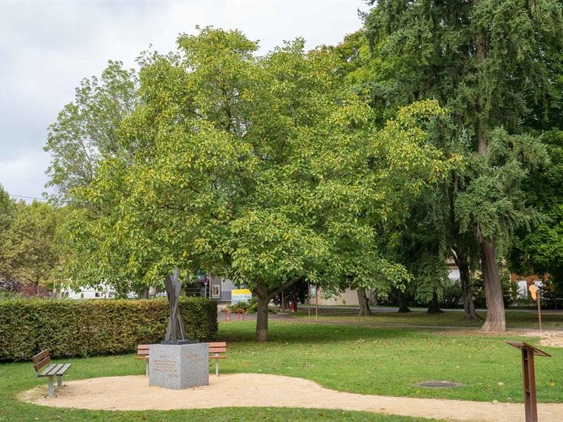 Parc Albert Schweitzer