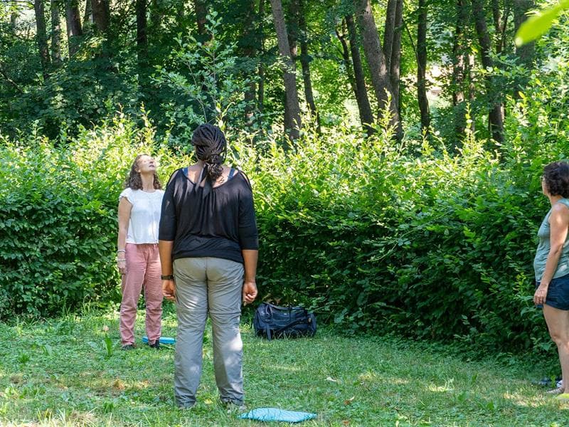 Lâcher prise et détente profonde avec le bain de forêt