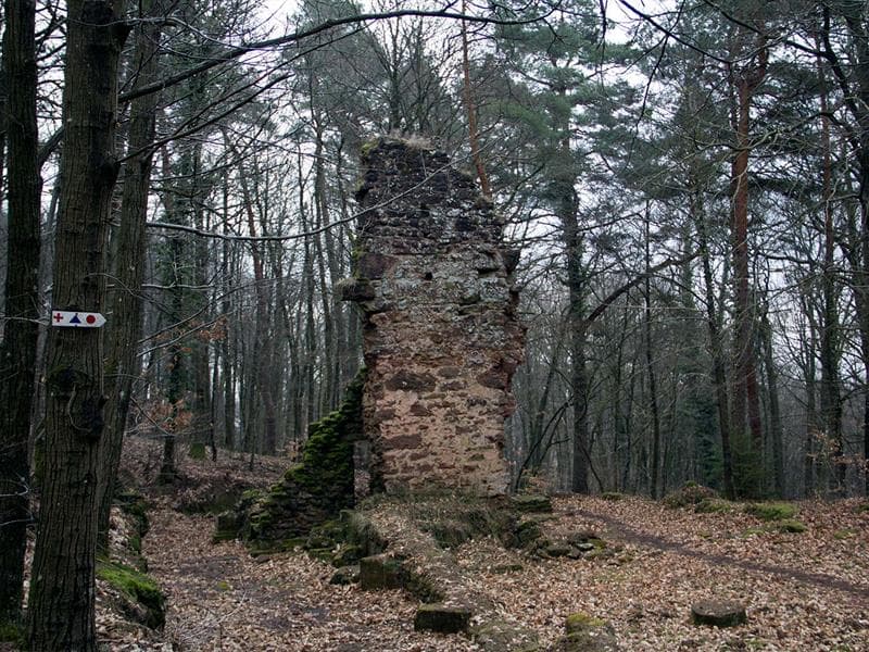 Ruine de la Frauenkirch, Offwiller, Alsace