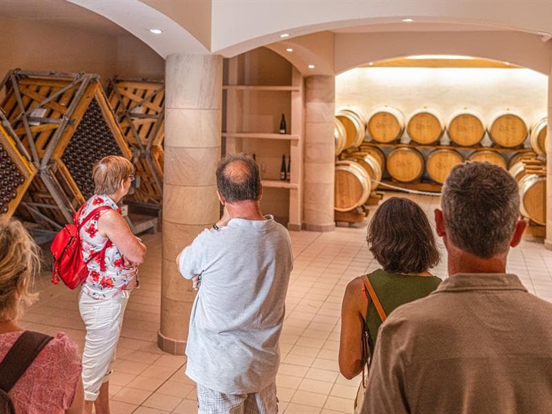 Vignobles en Scène Alsace : Visite guidée du village, de la cave et dégustation