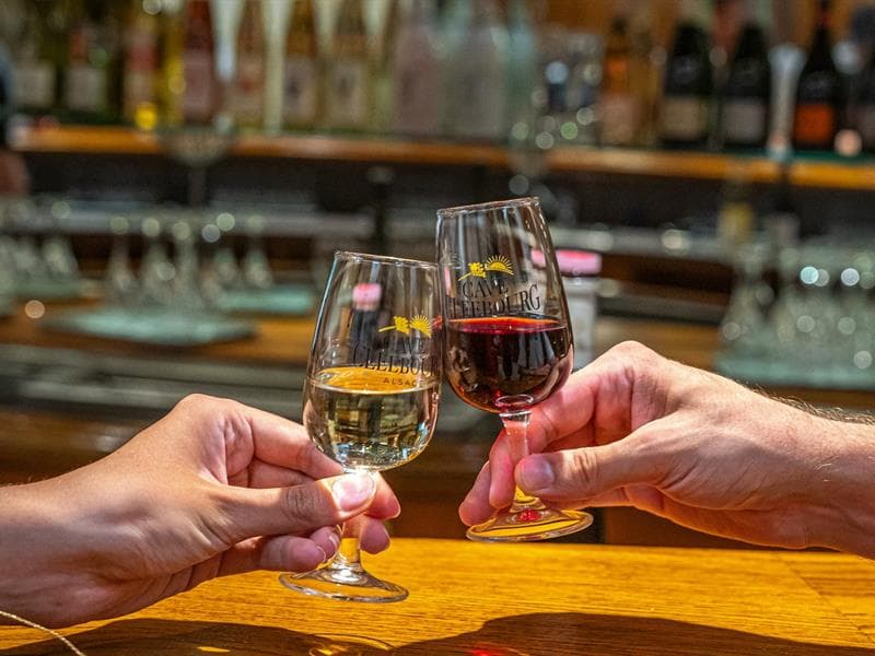 Vignobles en Scène Alsace : Visite guidée du village, de la cave et dégustation