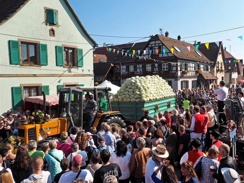 51e Fête de la choucroute-Sürkrütfecht