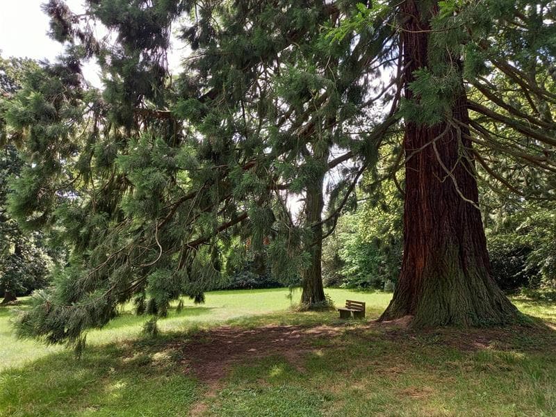 Le parc du domaine du Windeck