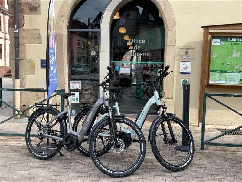 Louez un vélo à assistance électrique (VAE)