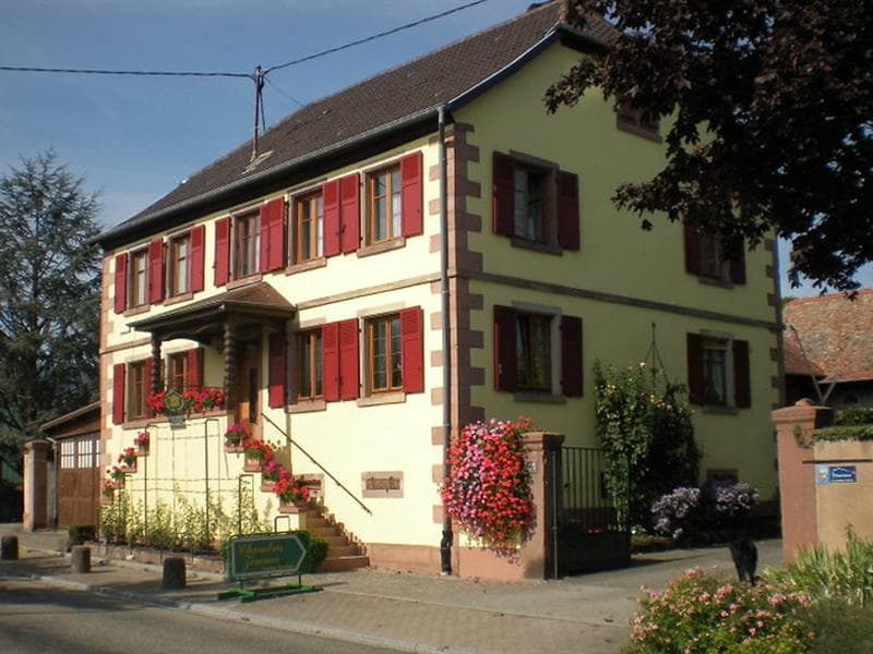 Chez Mado : Chambre Glycine