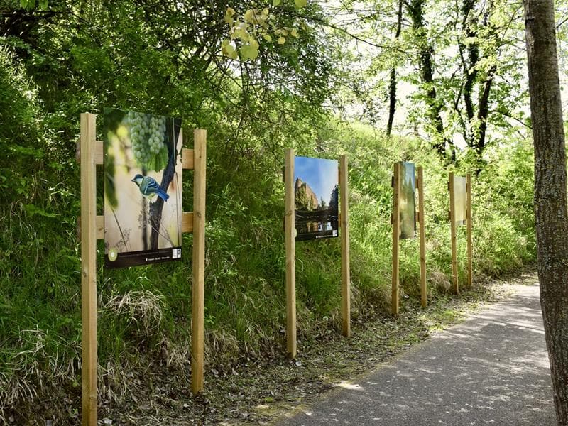Exposition - Ilots Bonheur, les mots à l'honneur