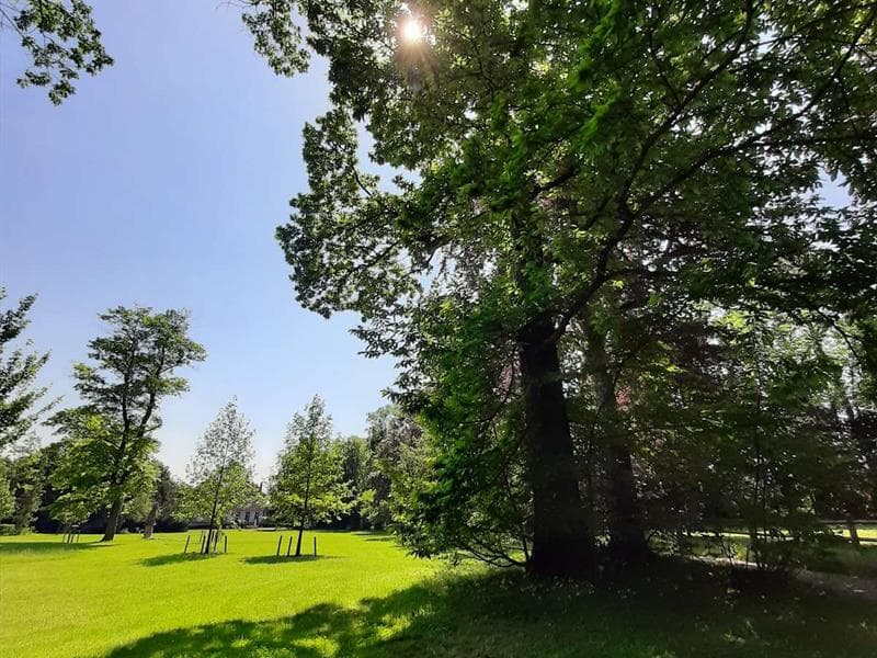 Le parc du manoir