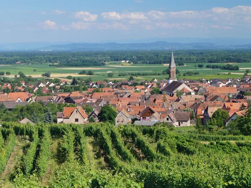 Kintzheim