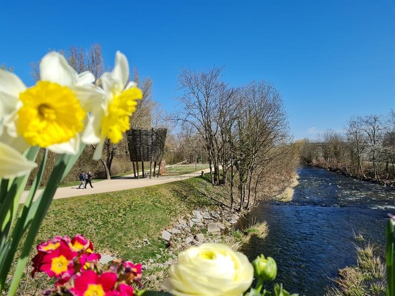 Le parc des Rives de la Thur
