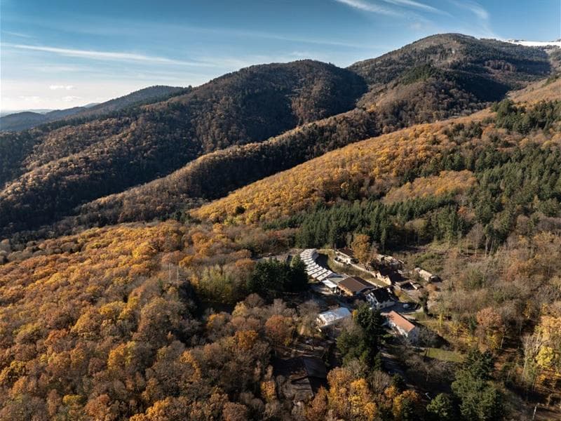 Ecolodge du Domaine du Hirtz