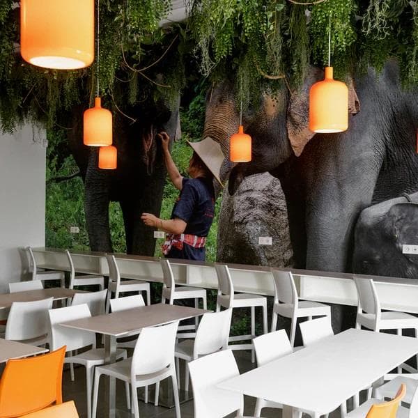 Restaurant Pum Thaï