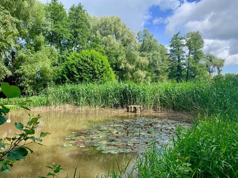 Arboretum de Roderen