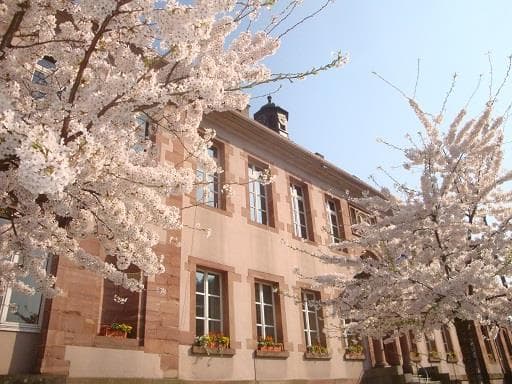 Hotel de Ville de Thann