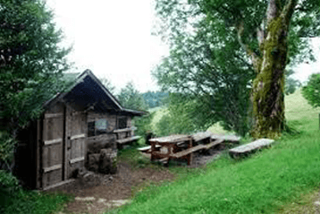 Abri forestier du Thannerhubel