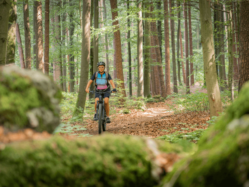 Ebike dans le vignoble du Rangen