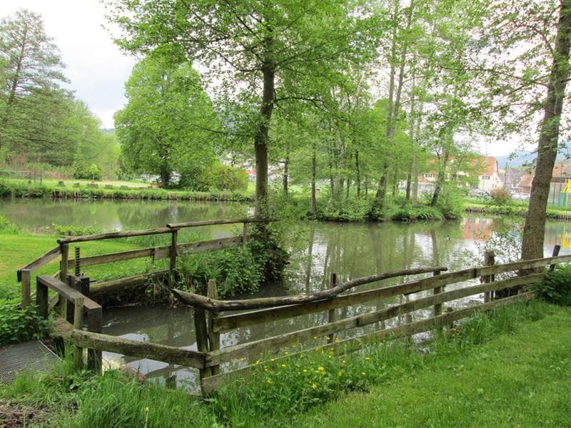 Etang de pêche de Villé