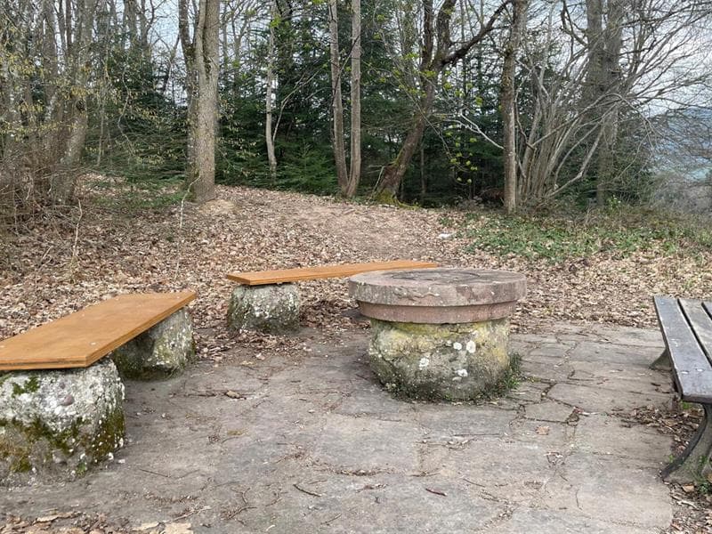 Aire de pique-nique du Klosterwald