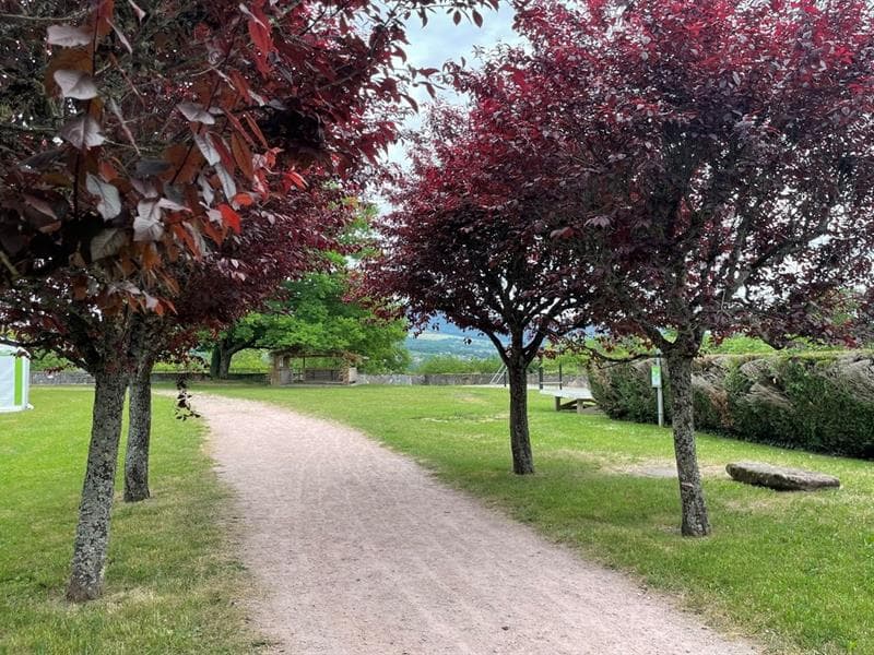 Aire de pique-nique du jardin curial