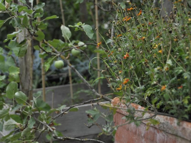 Jardins ouverts chez Jean-Claude