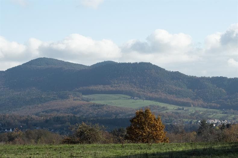 Chez Florent