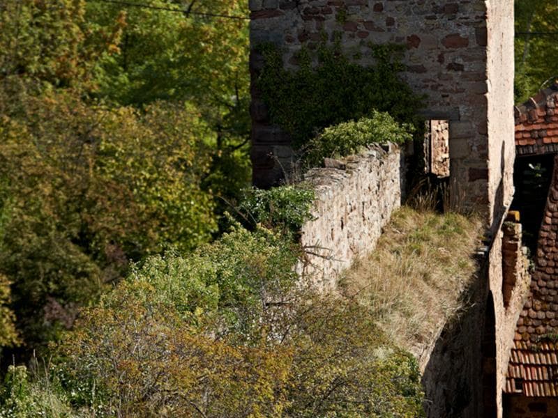 Remparts de Westhoffen