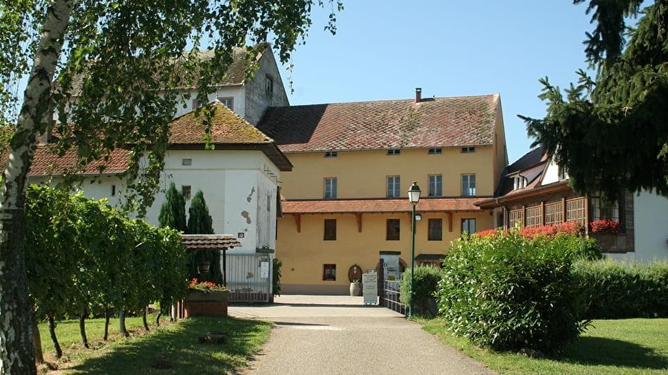Cave ouverte