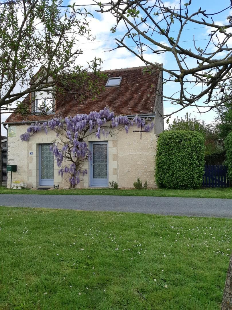 La Glycine_1