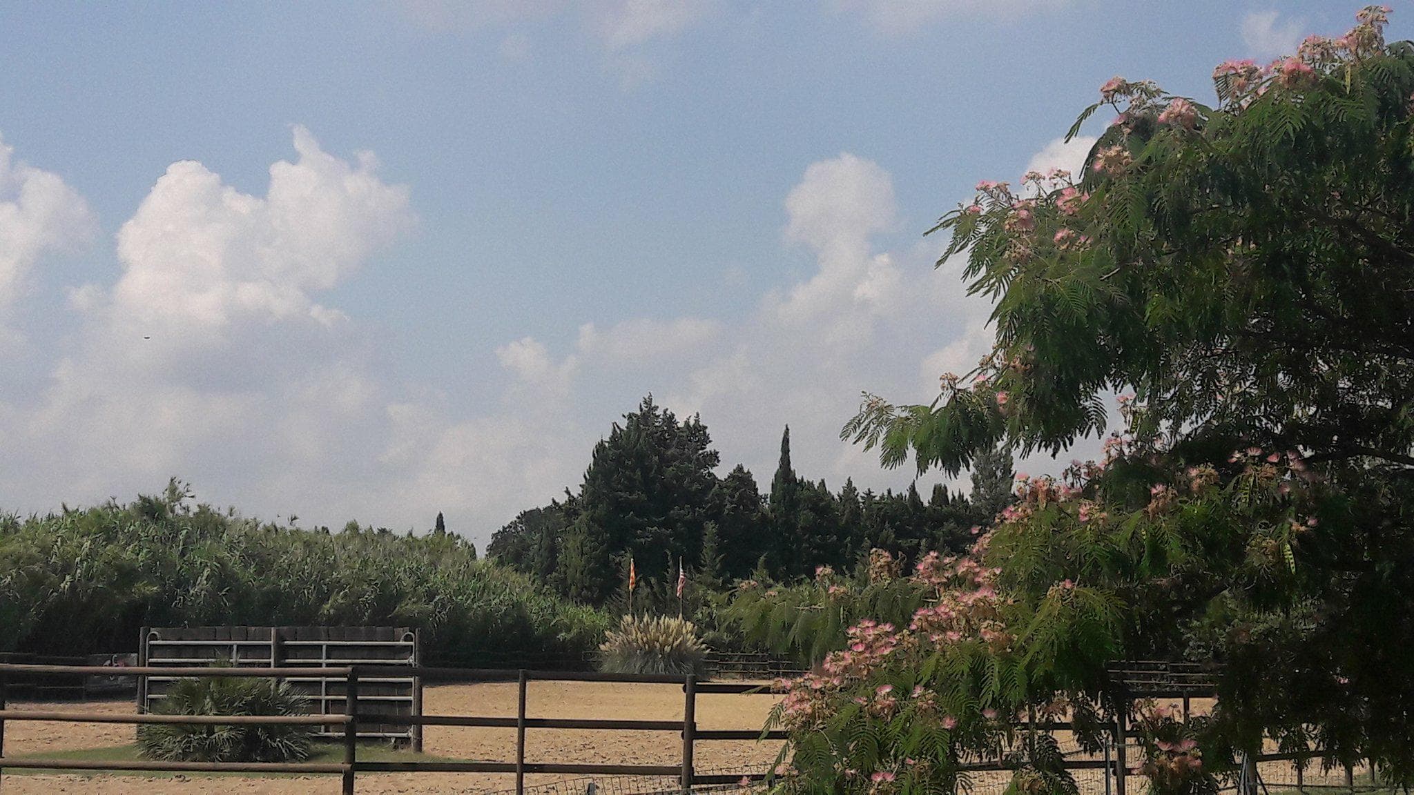 JC Ranch