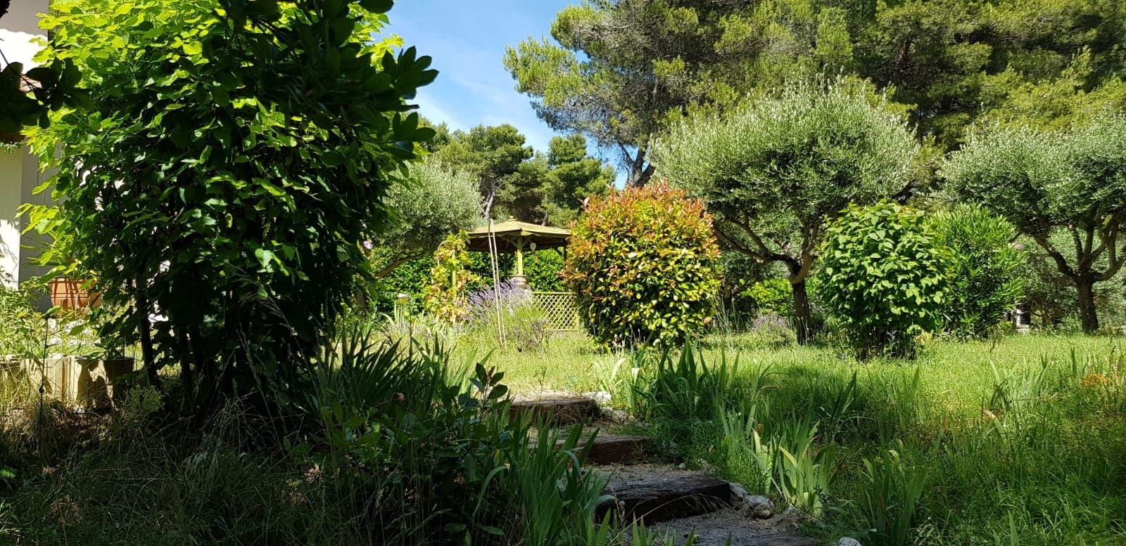 Les Hauts Pinchinats