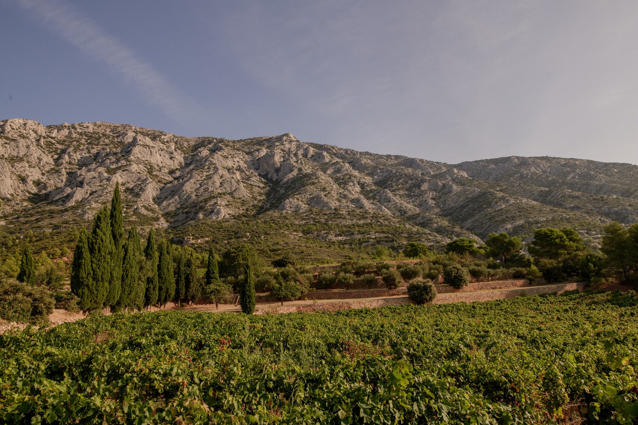 Vue à Puyloubier