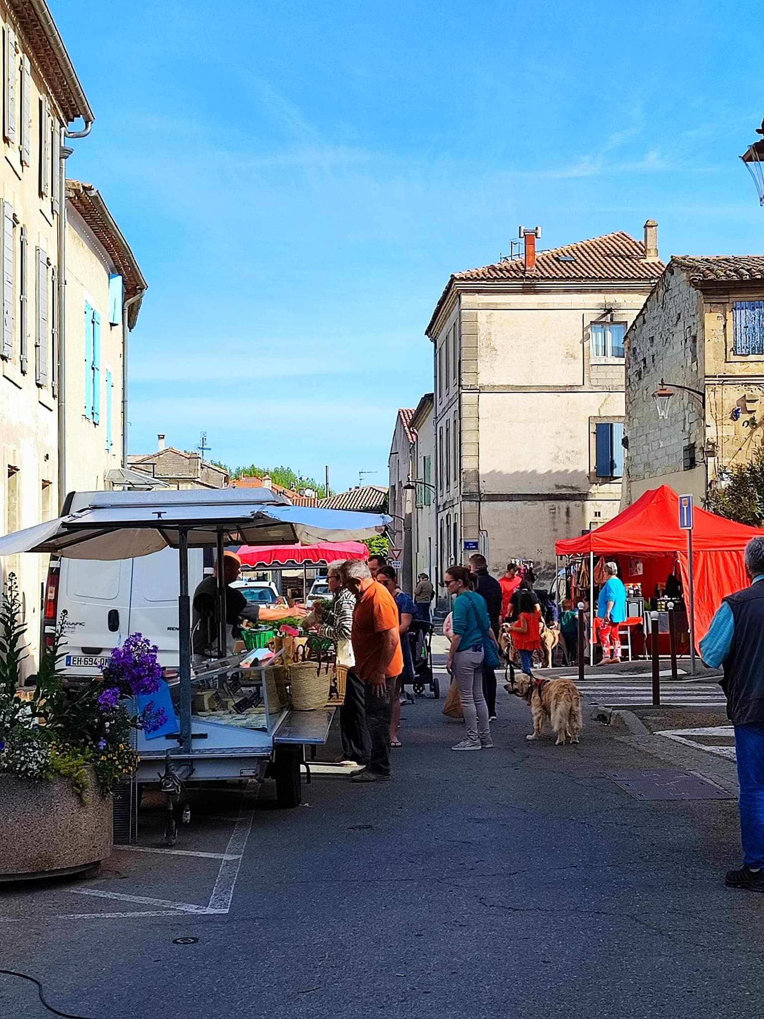 Marché Maillane