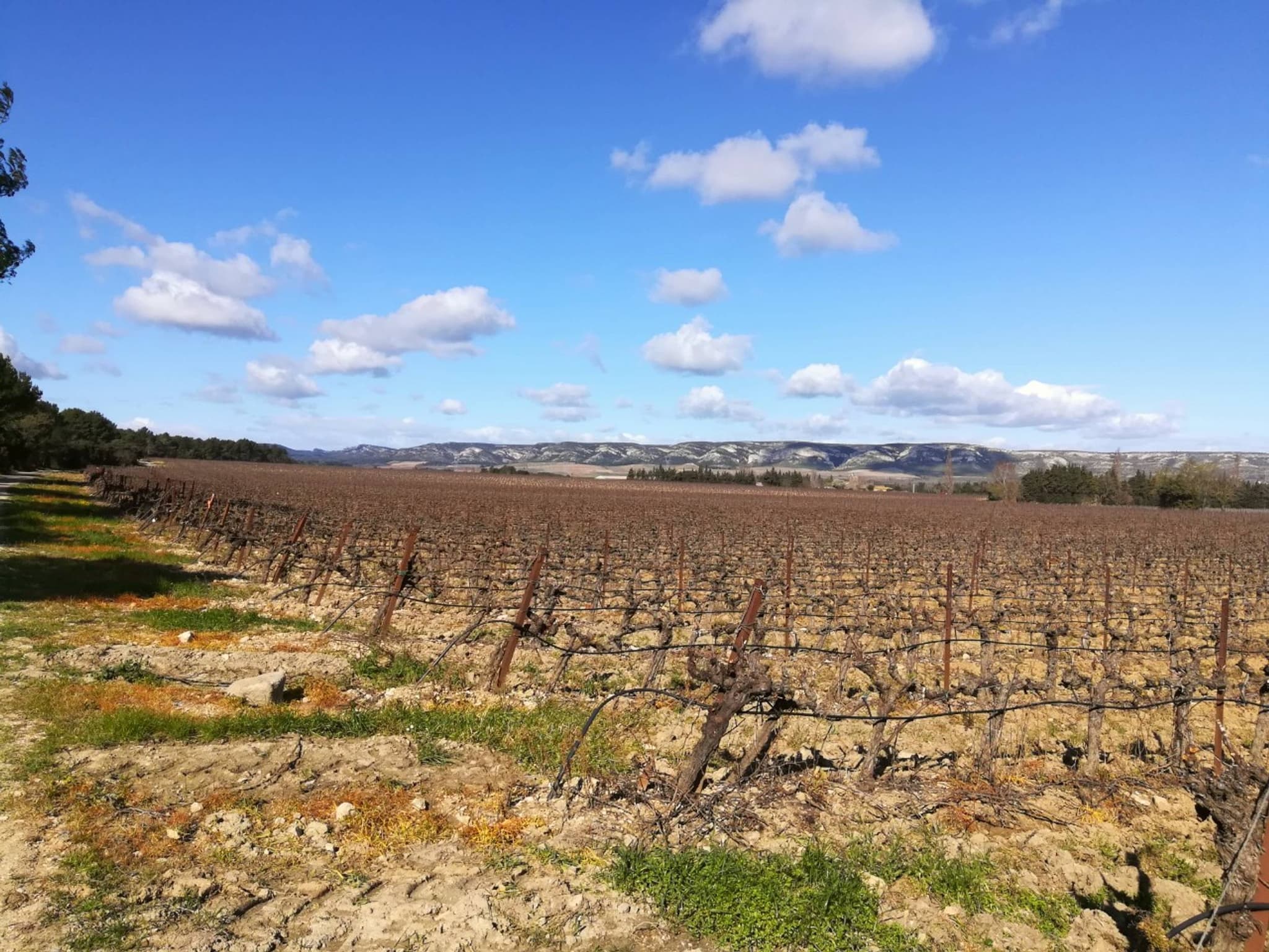 LAMANON - Autour de Calès