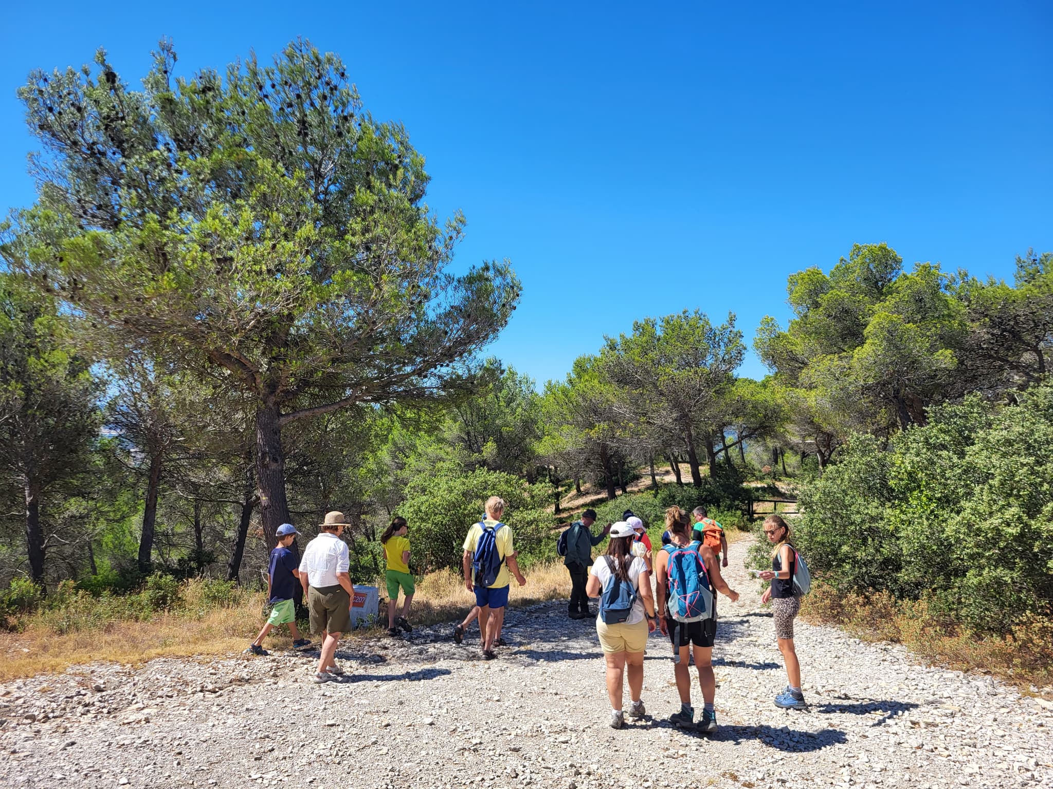 Marche en colline à la découverte de la nature méditerranéenne_Lambesc