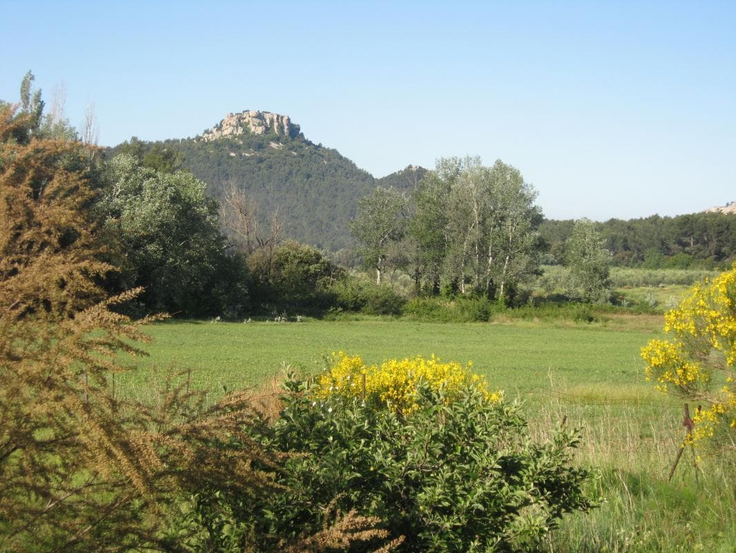 LA GLYCINE