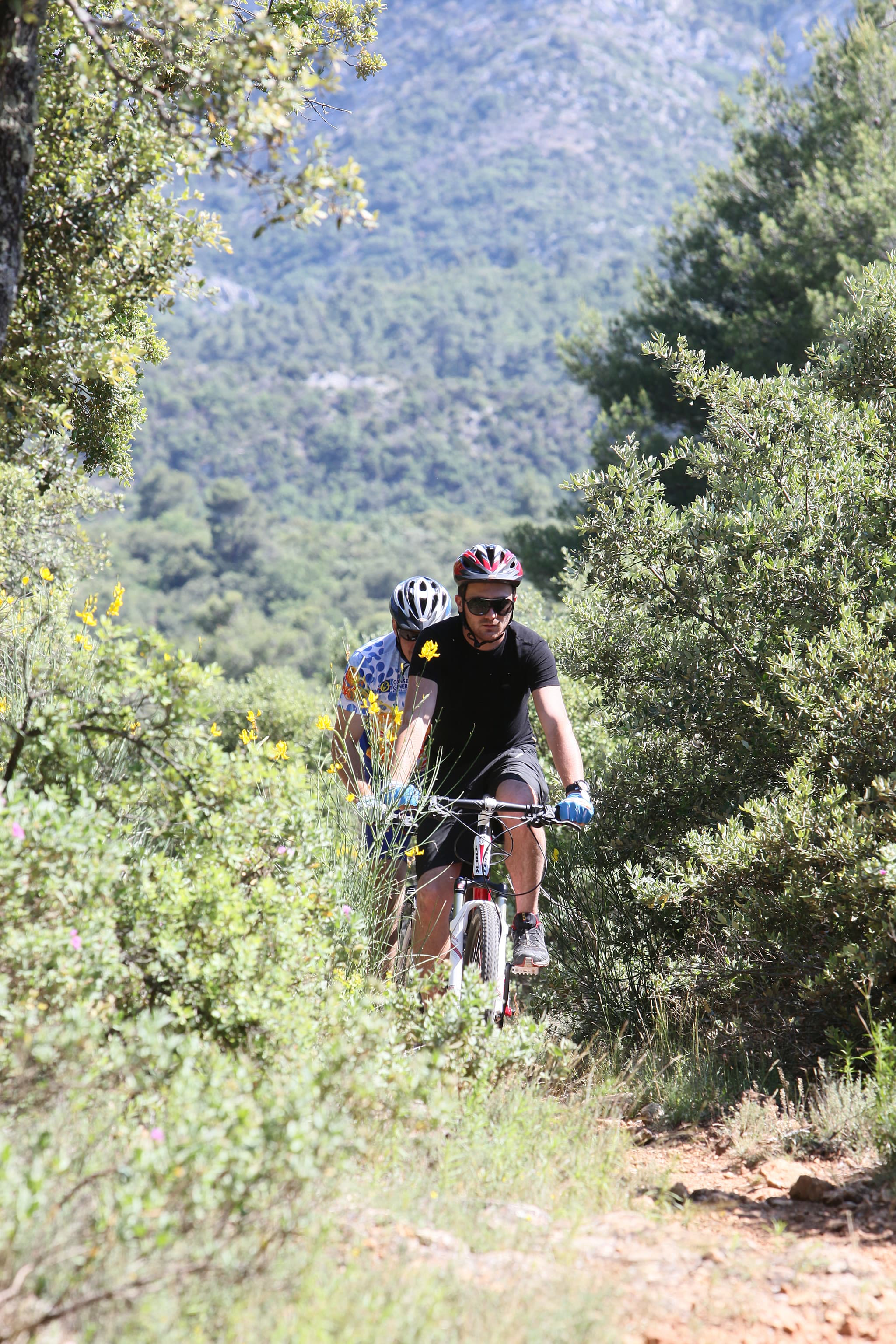 La Sinne Puits d'Auzon - circuit VTT 1 et 2_Vauvenargues