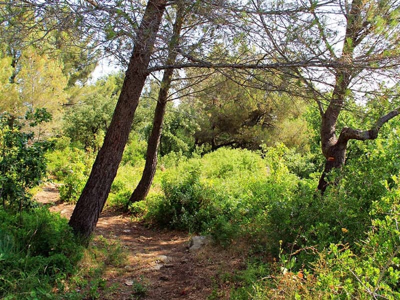 13VIS003864_1_HD.jpg