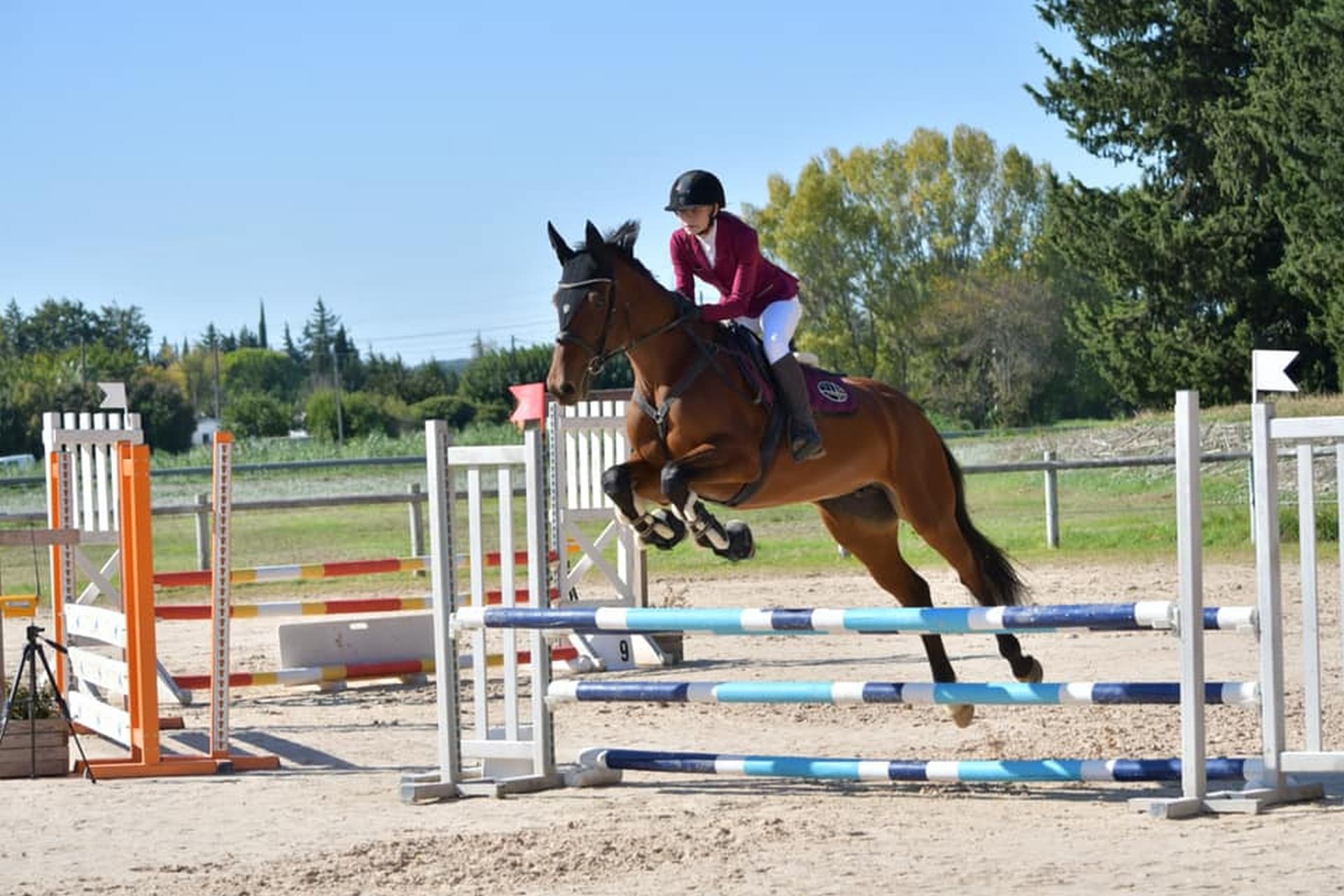 Centre equestre des Alpilles