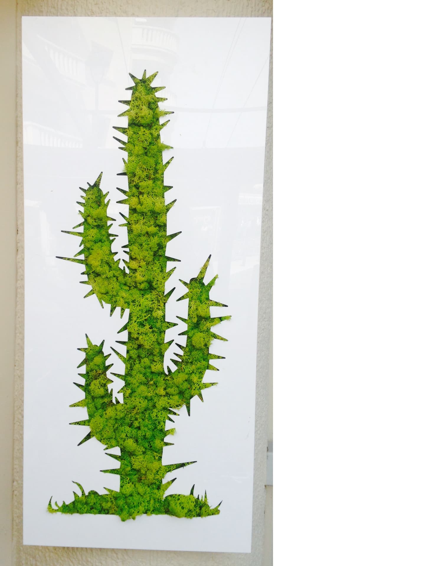 13REST001990_1_HD.jpg