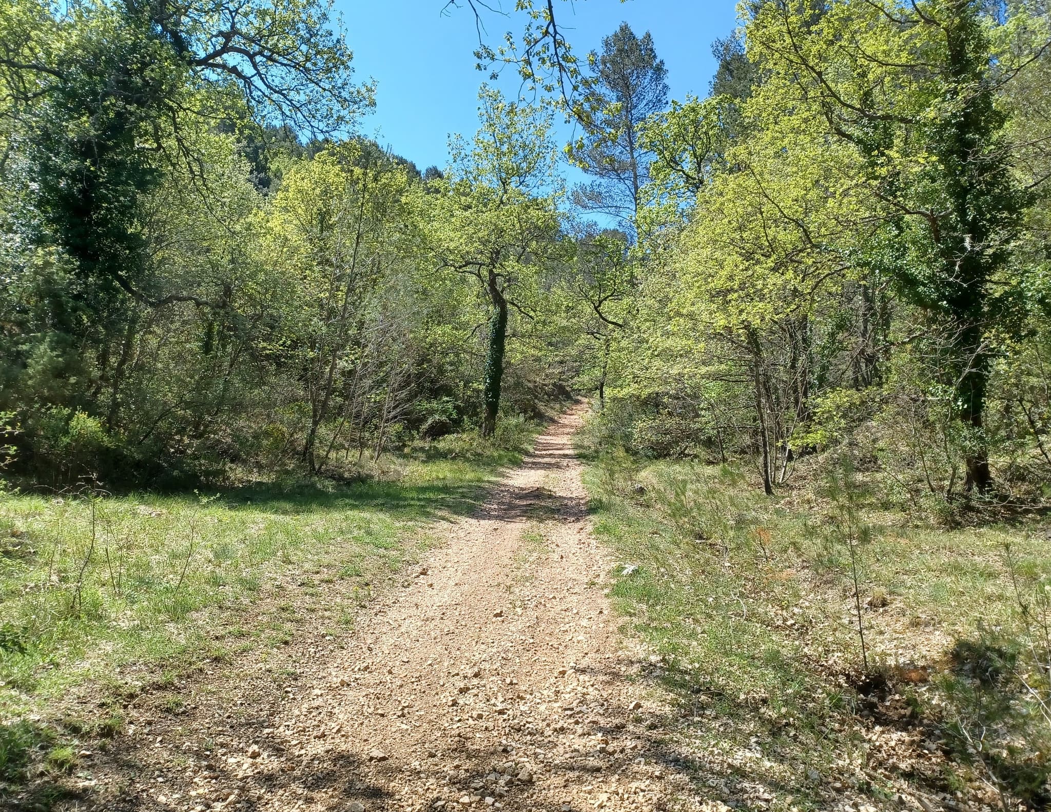 Les singles du bois de la Lare