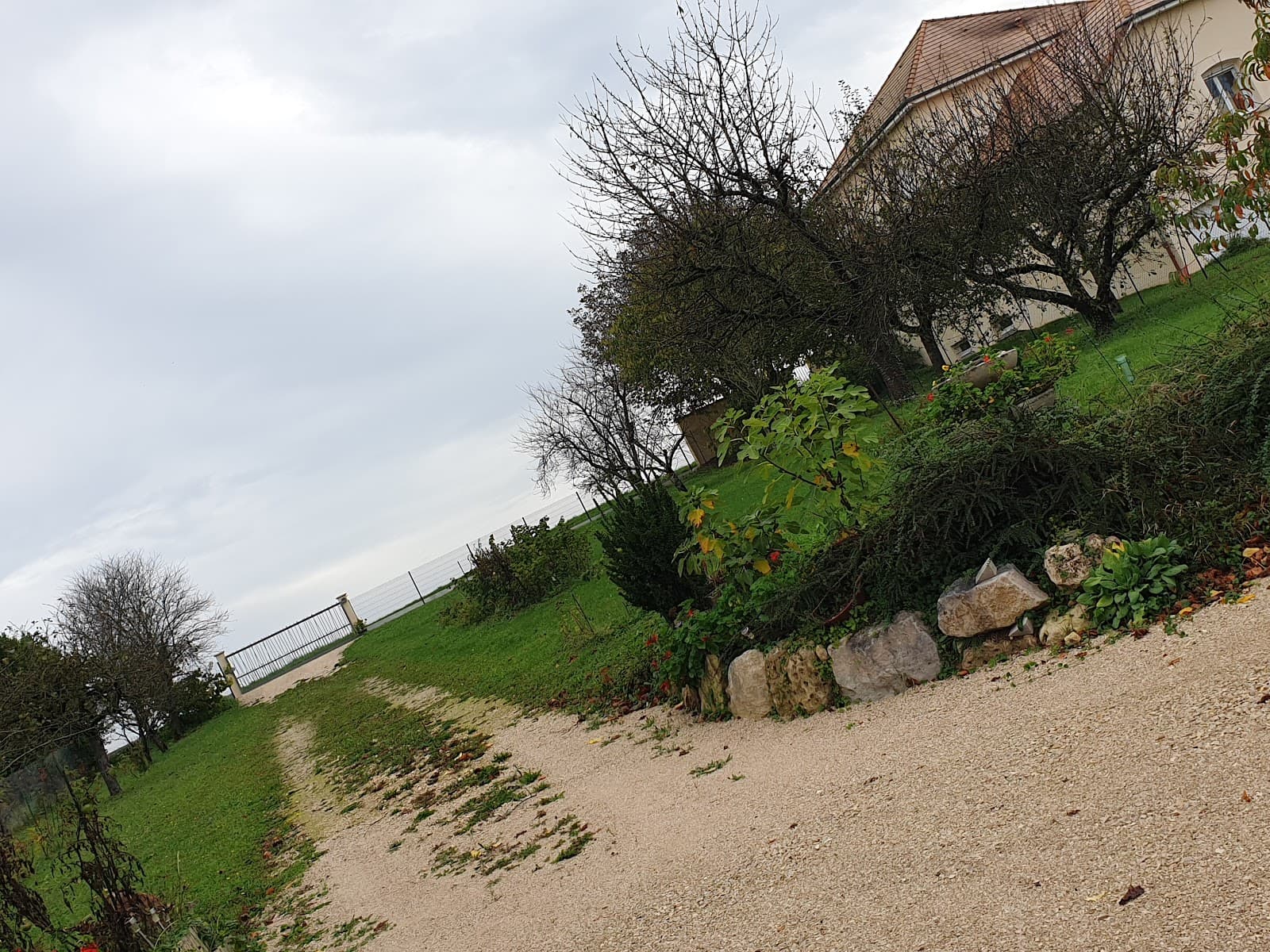 jardin