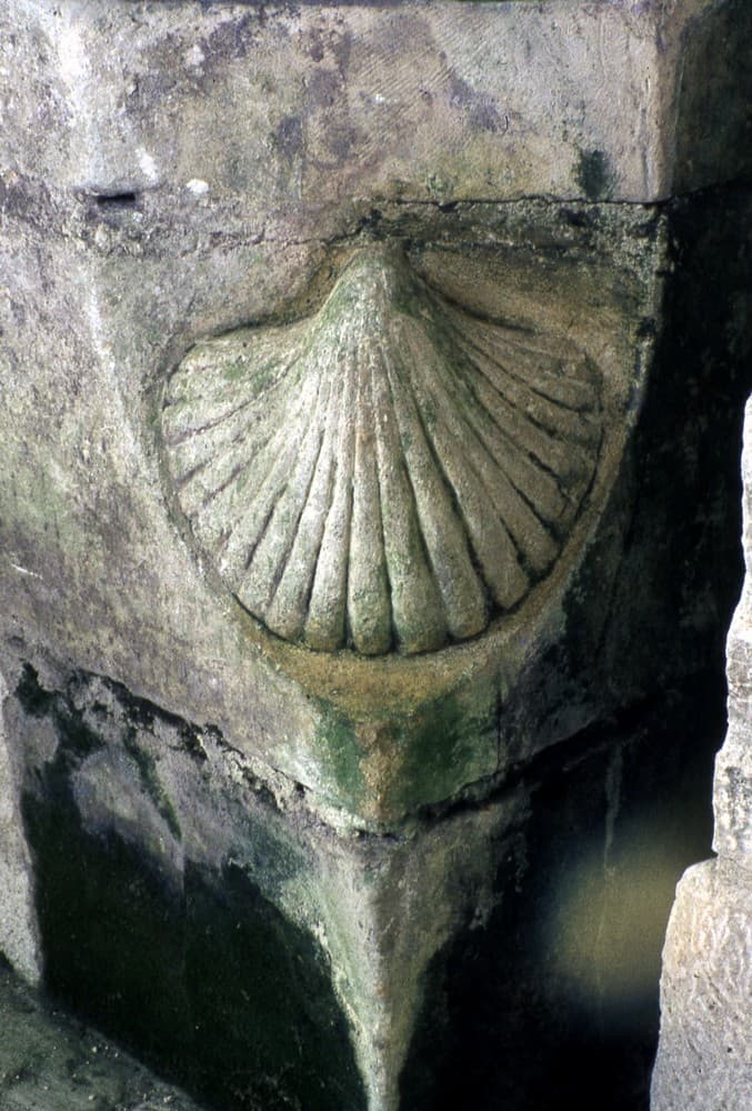 coquille st jacques.jpg