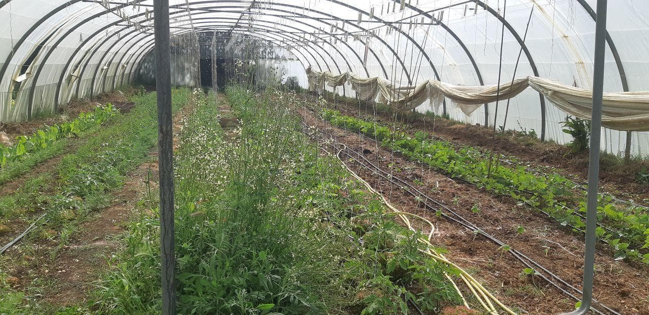 ECOLIEU des Espillieres