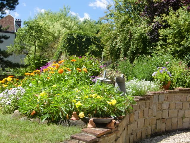 jardin.JPG