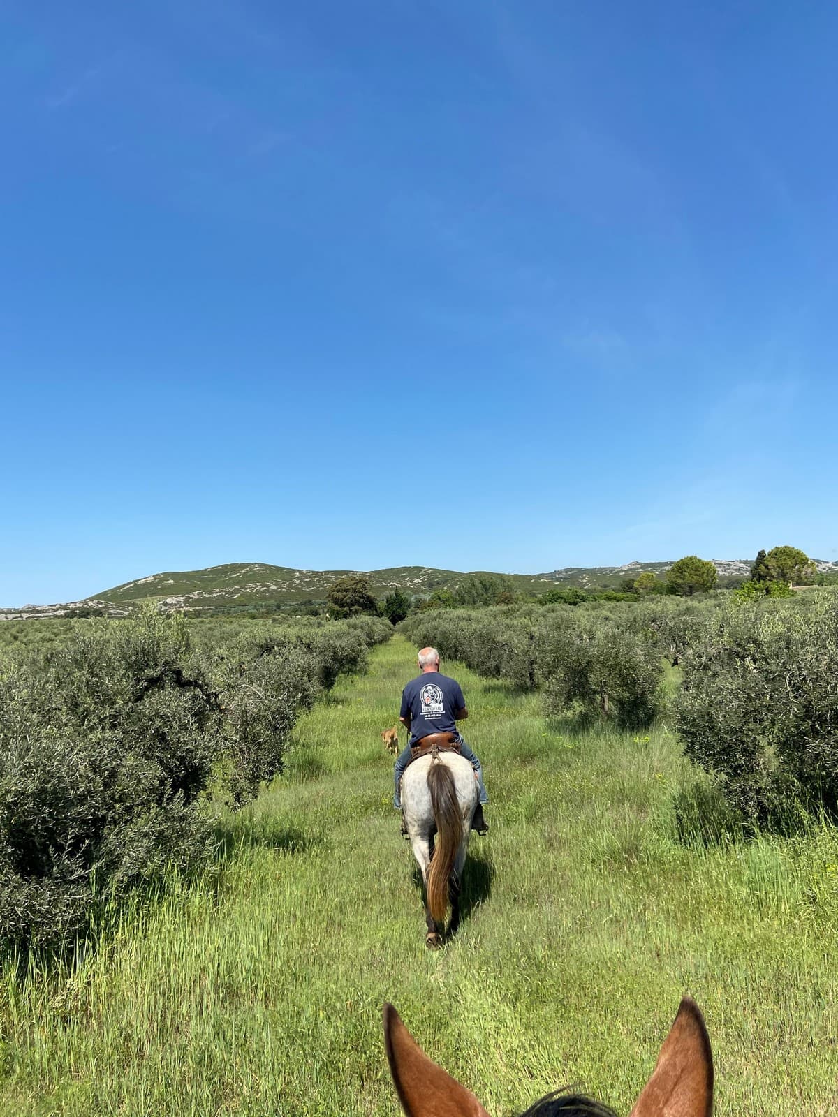 Les Écuries des Hauts de Mouriès