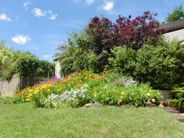 jardin.JPG