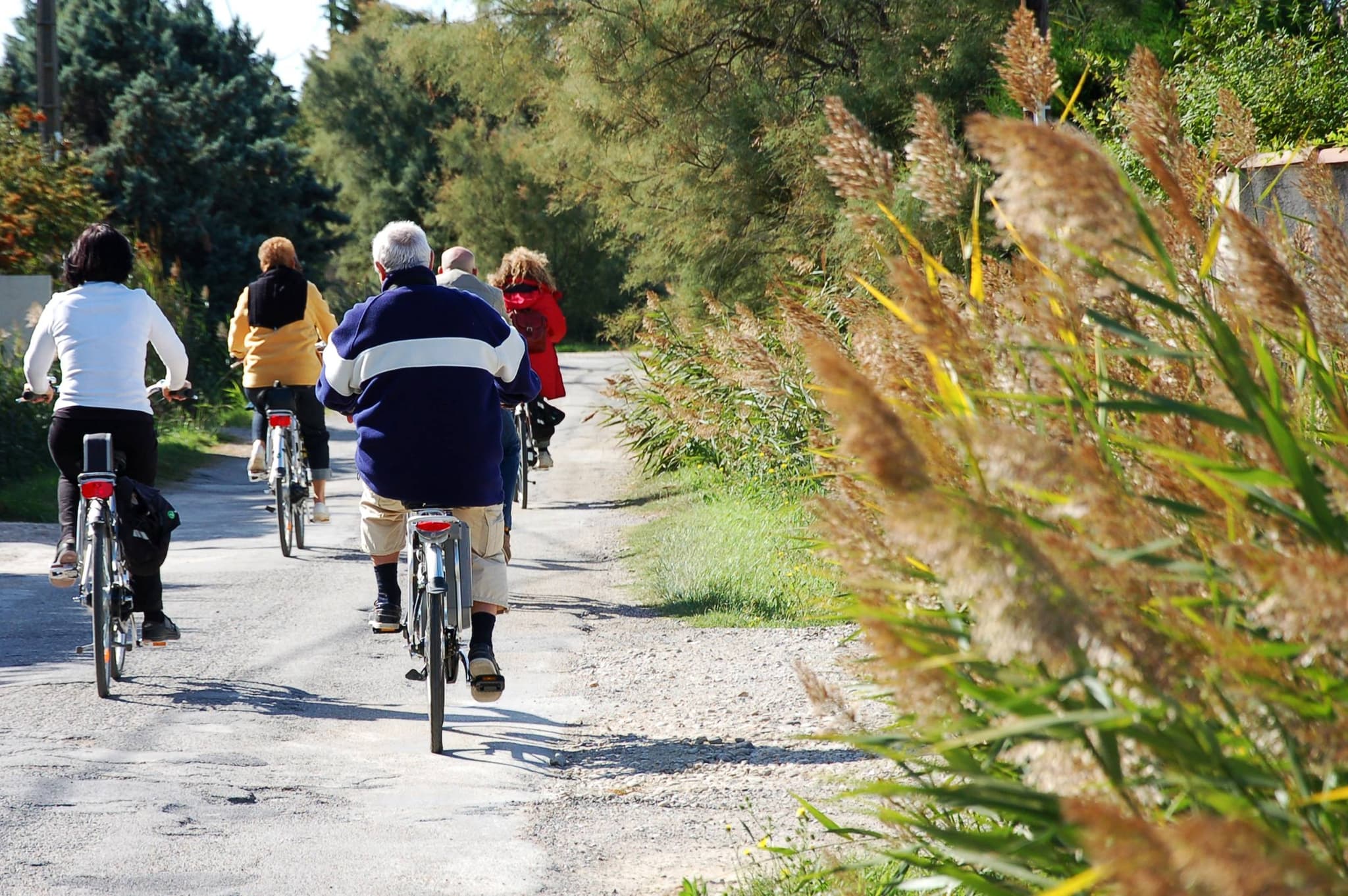 ARLES - Le chemin des taureaux à vélo